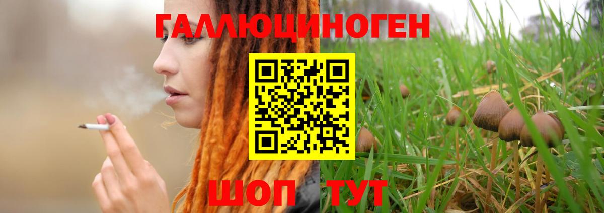Псилоцибиновые грибы GOLDEN TEACHER  Вход с VPN  Мыски  Галлюциногенные грибы ЛСД 